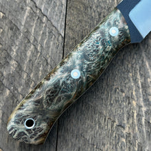 Load image into Gallery viewer, Stout (Satinwood Burl)