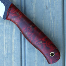 Load image into Gallery viewer, Falcon (Crimson Maple Burl)