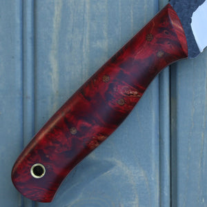 Falcon (Crimson Maple Burl)