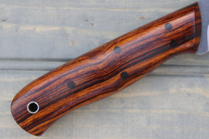 Raptor (Desert Ironwood)