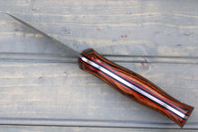 Load image into Gallery viewer, Raptor (Desert Ironwood)