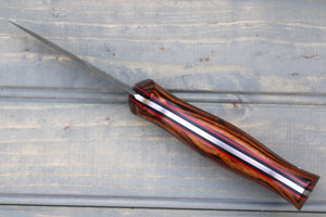 Raptor (Desert Ironwood)
