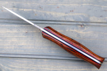 Load image into Gallery viewer, Raptor (Desert Ironwood)
