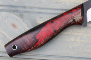 Gourami (Black Cherry Spalted Maple)