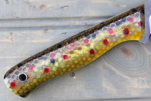 Load image into Gallery viewer, Trout (Brown Trout Resin)