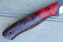 Load image into Gallery viewer, Pike (Curly Cottonwood)