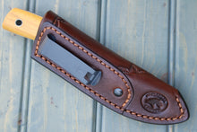 Load image into Gallery viewer, Bush Baby (Osage)