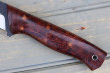 Load image into Gallery viewer, Hammerhead (Big Leaf Maple Burl)