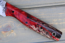 Load image into Gallery viewer, Fletcher (Multi-Colored Cottonwood)