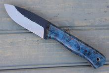 Load image into Gallery viewer, Stout (Cobalt Basswood Burl)