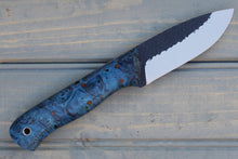 Load image into Gallery viewer, Stout (Cobalt Basswood Burl)