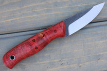 Load image into Gallery viewer, Talon (Rose Curly Birch)