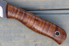 Load image into Gallery viewer, Talon (Curly Maple)