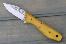 Load image into Gallery viewer, Scoter (Osage)