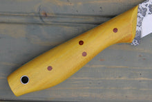 Load image into Gallery viewer, Scoter (Osage)