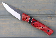 Load image into Gallery viewer, Lantana (Fiery Cottonwood)