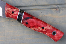 Load image into Gallery viewer, Lantana (Fiery Cottonwood)