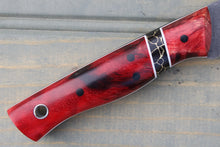 Load image into Gallery viewer, Lantana (Fiery Cottonwood)