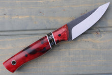 Load image into Gallery viewer, Lantana (Fiery Cottonwood)