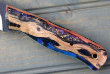 Load image into Gallery viewer, Raptor (Cholla Cactus)