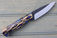 Load image into Gallery viewer, Raptor (Cholla Cactus)