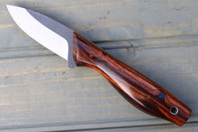 Load image into Gallery viewer, Beta (Desert Ironwood)