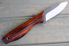 Load image into Gallery viewer, Beta (Desert Ironwood)