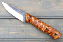 Load image into Gallery viewer, Sage (Crosscut Birch Burl)