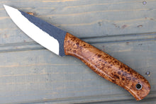 Load image into Gallery viewer, Falcon (Black Ash Burl/Tapered Tang)
