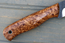Load image into Gallery viewer, Falcon (Black Ash Burl/Tapered Tang)