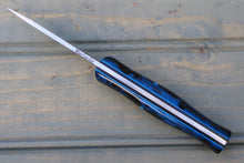 Load image into Gallery viewer, Lantana (Blue Swirl ShokRes)