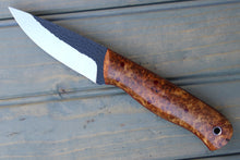 Load image into Gallery viewer, Raptor (Amboyna Burl)