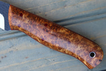 Load image into Gallery viewer, Raptor (Amboyna Burl)