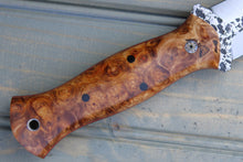 Load image into Gallery viewer, Viper (Amboyna Burl)