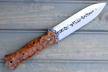 Load image into Gallery viewer, Viper (Amboyna Burl)