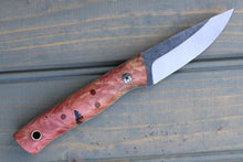 Load image into Gallery viewer, Lantana (Pink Buckeye Burl)