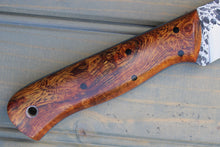 Load image into Gallery viewer, Stout (Golden Desert Ironwood)