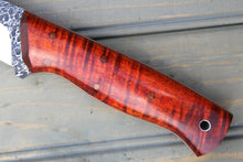 Load image into Gallery viewer, Hammerhead (Exhibition Grade Cinnamon Curly Koa)