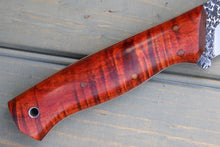 Load image into Gallery viewer, Hammerhead (Exhibition Grade Cinnamon Curly Koa)