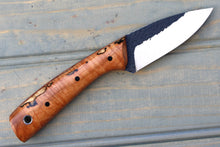 Load image into Gallery viewer, Bush Baby (Spalted Curly Maple)